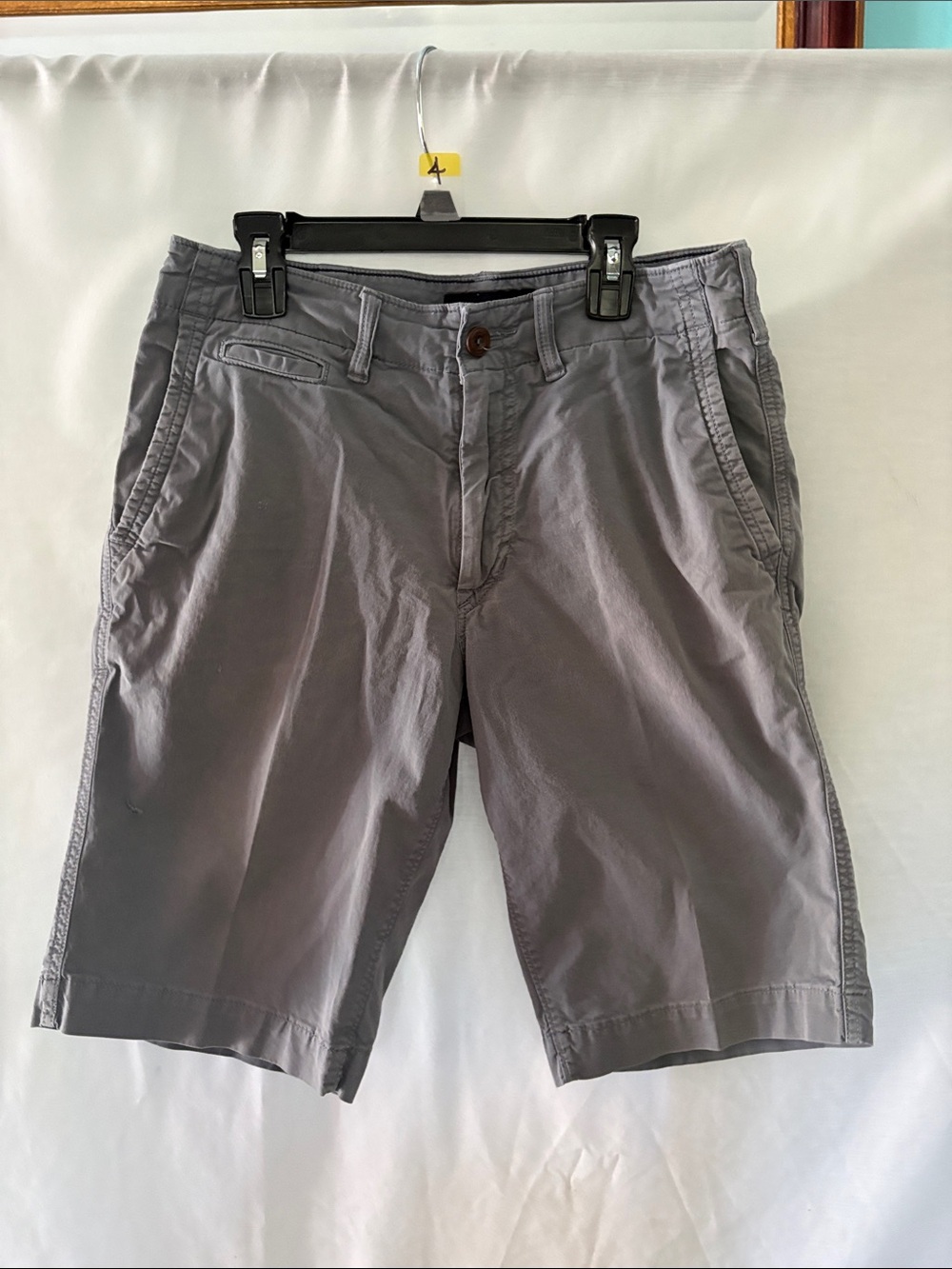 American Eagle Outfitters Gray Flat Front Men's Shorts
